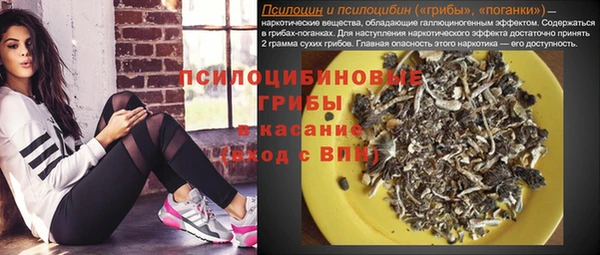 spice Балахна