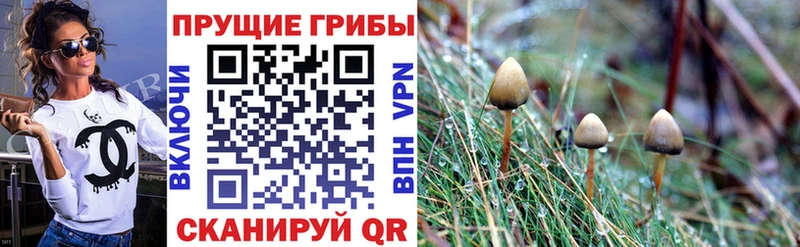 Галлюциногенные грибы прущие грибы  даркнет сайт  Циолковский 
